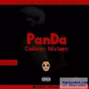 DJ Swayze - Panda Collision